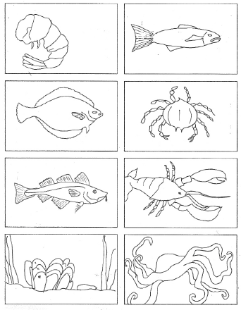 Color the seafood pictures